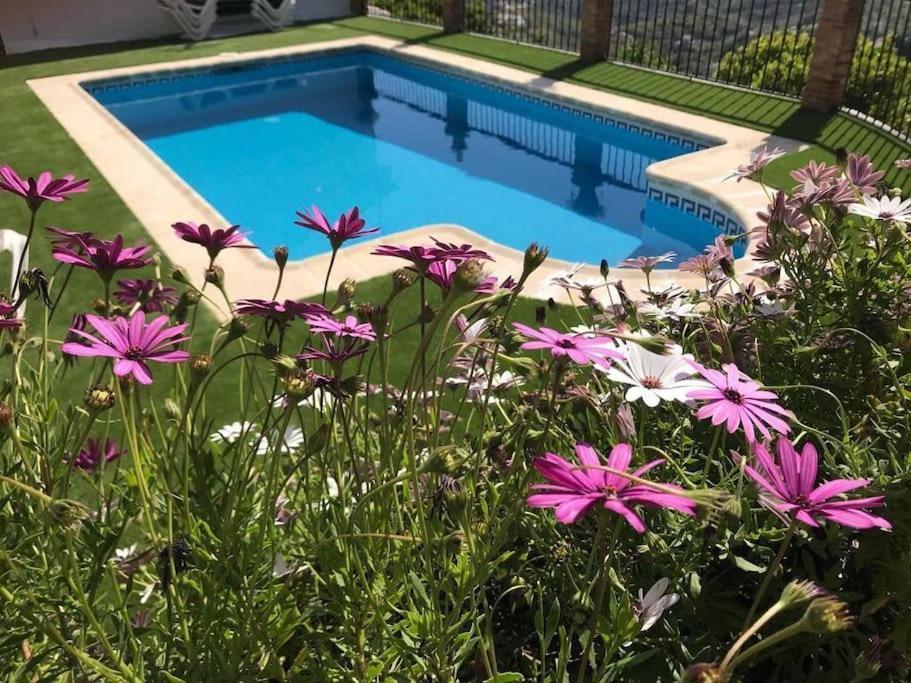 Villa En Frigiliana Con Piscina Y Jacuzzi Eksteriør billede